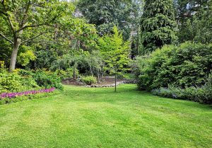 Optimiser l'expérience du jardin à Bussy-en-Othe
